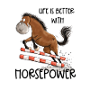 Witziges Springpferd Springreiten Tunier Pferd