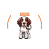 Coffee and Bracco Italiano