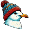 Gull