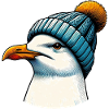 Gull