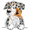 Funny Australian Shepherd Blue Merle