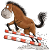 Witziges Springpferd Springreiten Tunier Pferd