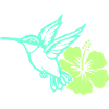 Colibri Oiseau Hibiscus