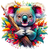 Koala
