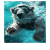 Polar bear