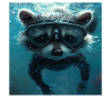 Raccoon