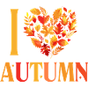 I love autumn