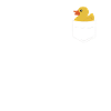 Duck Ducks Bird Animal Quack