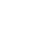 Cave Painting Bison