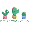 Sweet Cactus Trio - Blooming