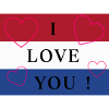 Holland / Netherlands / Pays-Bas Flag / Drapeau