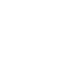 Chat siamois « Black Edition »