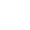 Birma Katze "Black Edition"