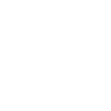 Maine coon cat "Black Edition"