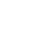 Occupation Painter