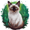 Chat siamois