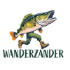 Funny fish wandering zander