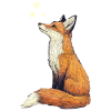 Fox with stars