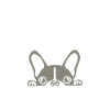 Boston Terrier Gifts
