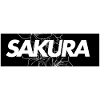 SAKURA cherry blossom