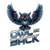 Hibou de retour