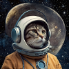 chat avec casque astronomies