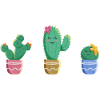 Cactus Trio
