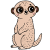 Suricate