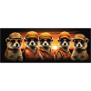 Coole Erdmännchen Erdmännchengruppe