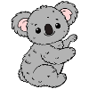 Koala Koalabär