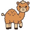 Dromadaire chameau