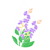 Essential oil