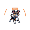Café et Terrier Brasileiro