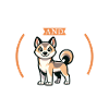 Café et chien de Canaan