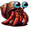 Hermit crab