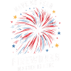 Pyrotechnie Feux d’artifice Pyrotechnie