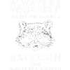 Raccoon
