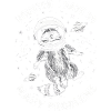 Raccoon