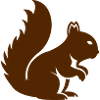Squirrel Animal