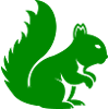 Squirrel Animal