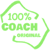 Coach as a profession