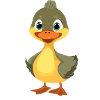 Duck Chick Illustration