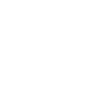 White Insect