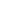 Araignée blanche