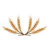 Grain wreath