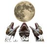 Leopard Gecko Lizard Howling Moon