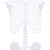 Halloween Skeleton Graphic Funny