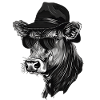 Cow