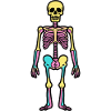 Skeleton Comic Halloween Icon