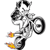 Le diable à moto